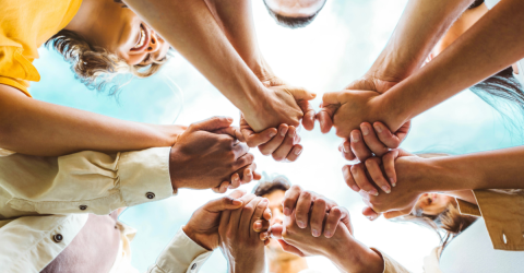 vereniging in de kijker