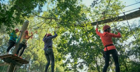 Maksimum Zomert: HOOGTEPARCOURS © Blaarmeersen Stad Gent