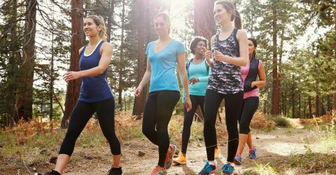 Wandelen met Ferm Rollegem-Kapelle © Monkeybusinessimages