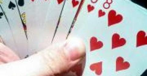 Kaarten met Okra © okra