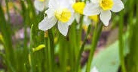 Paasstukje maken © B B