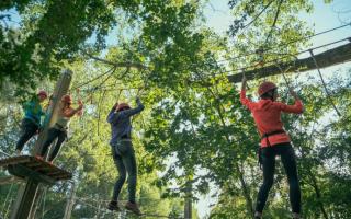 Maksimum Zomert: HOOGTEPARCOURS © Blaarmeersen Stad Gent