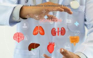 Orgaandonatie lezing - incl. hapje & drankje © stock