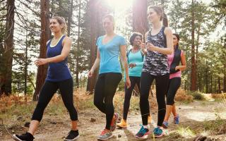 Wandelen met Ferm Rollegem-Kapelle © Monkeybusinessimages
